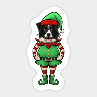 Border Collie Christmas Elf Sticker